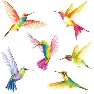 BASHOM Wandtattoo Kolibri & Vögel - Wandaufkleber Wandsticker Set für Wohnzimmer, Schlafzimmer & Kinderzimmer - Deko für Wand & Fenster (DS2-4002)