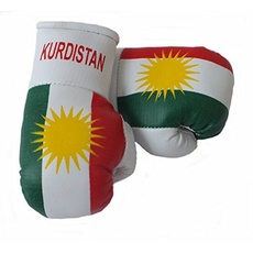 Sportfanshop24 Mini Boxhandschuhe Kurdistan, 1 Paar (2 Stück) Miniboxhandschuhe z. B. für Auto-Innenspiegel