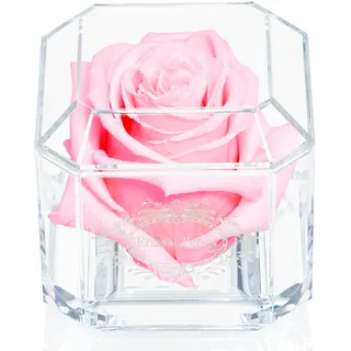 Eternal Petals A Rose That Lasts A Year - The Perfect Unique Gift for Women and Men, A Birthday Gift - White Gold Solo (Light Pink)