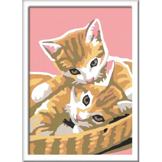 Ravensburger CreArt Malen nach Zahlen 1 St. Katzenbabys