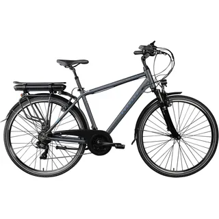 Zündapp Green 7.7 2021 28 Zoll RH 48 cm grau