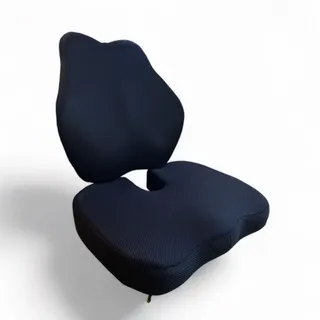 Inphysio - 2er Set: Sitzkissen & Rückenkissen Ergonomisch - Stuhlkissen - Lendenkissen - für Schreibtisch, Home Office, Büro - Unterstützung für Wirbelsäule - 45x41x10,5 cm / 45x35x7 cm