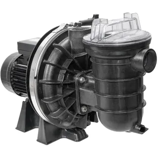 Pentair Sta-Rite Schwimmbadpumpe P-STR-101 0,75 kW 230 V