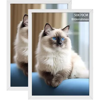 RUN HELIX 2 Pack Bilderrahmen 50x70, 50x70cm Bilderrahmen Weiß, Aufhängbar, Posterrahmen für Wohnzimmer, Schlafzimmer, Arbeitszimmer
