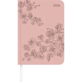 ALPHA EDITION GmbH & Co. KG Lady Journal Deluxe Salmon 2026