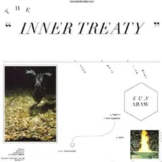 Vinyl The Inner Treaty / Sun Araw, (1 LP (analog))