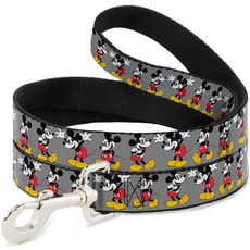 Buckle Down Disney Mickey Maus w/Gläser Stellt grau Hund Leine 2,5 cm breit