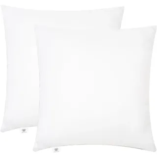 Makimoo Kopfkissen 2er Set 30 x 30 cm, Kissen für Bett und Dekokissen, Polyester Innenkissen Füllkissen for Sofakissen Zierkissen