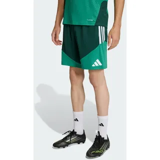 adidas Algerien Trainingsshorts 2026 grün Herren Gr. XXL