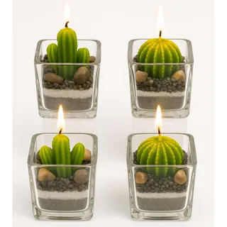 damaloo 4x Kaktus Kerzen Set im Glas – 4er Set Kakteen Kerze Deko Grün – Mini Kerzenset - Kaktuskerzen im Glas - Kleine Teelichter in Kaktusform – Sukkulenten Dekoration für Frauen & Männer