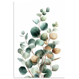 Artland Wandbild "Eukalyptus" Blätterbilder 1 Stk. tlg. als Alubild, Leinwandbild, Poster, Wandaufkleber in verschied. Größen, farbe bild(er): grün