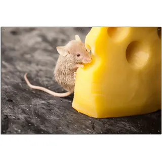 Wallario Outdoor-Poster für Garten oder Balkon, Motiv Süße Maus knabbert an einem Käse in der Küche, in ca. 61 x 91,50 cm - Gelb