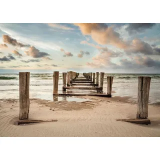 Rasch Tapete 363395 - Fototapete auf Vlies mit Meer, Sand und Holzwellenbrecher in Beige und Blau aus der Kollektion Magicwalls - 2,65 m x 3,71 m (LxB)