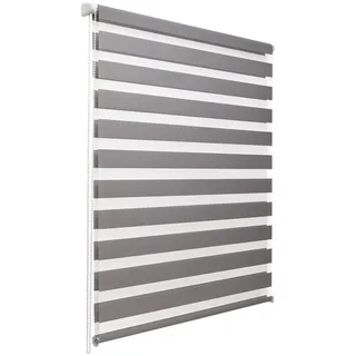 Sol Royal Doppelrollo SolDecor DL2 80 x 220 cm grau