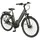 Geniesser 3.0 28 Zoll RH 48 cm grau (schwarz)
