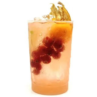 Silverkitchen 40 Plastikbecher 200ml, Mehrweg Trinkbecher Kunststoff, 0.2 L, Plastik Bowlegläser Transparent