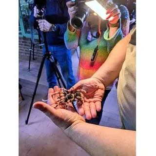 FKA Fotoshooting im Terra ZOO 21.02.2026