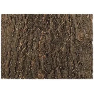 Repti Planet Kork-Rückwand 58.5x41x2cm, Holz, 1 Stück(e), 190 mm, 20 mm, 270 mm