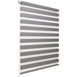 Sol Royal Doppelrollo SolDecor DL2 50 x 150 cm grau