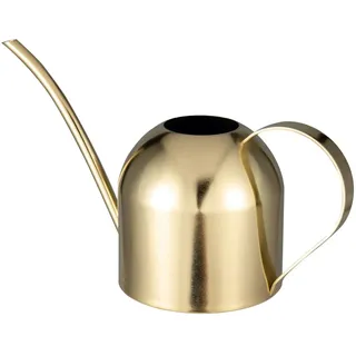 IMEEA 900ML Edelstahl Gießkanne, Zimmergiesskannen Moderner Blumengießkanne mit Langer Auslauf für Pflanzen Zimmerpflanze (Gold)