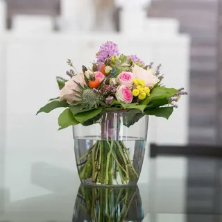 Nicoli Verve Crystal cm 17,9 x 17 h transparent