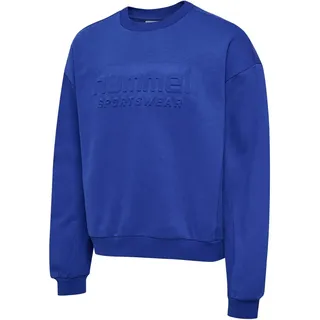 hummel Sweatshirt Surf The Web Blau 2XL