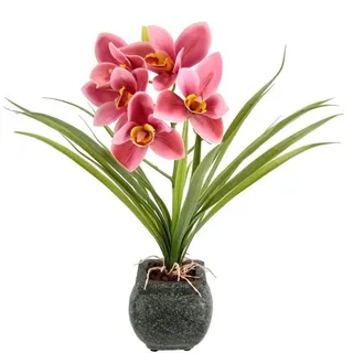 OTTO home Kunstblume "Orchidee" Mit Blätter im Topf aus Zement Künstliche Blume Cymbidium-Orchidee, rosa