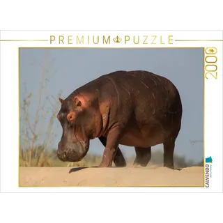 CALVENDO Puzzle Auf dem Wege in den Sambesi - im Lower Sambesi National Park 2000 Teile Puzzle quer | 2000 pieces, finished size 35.4 × 26.4 in (90 × 67 cm) | Photo puzzle for happy hours