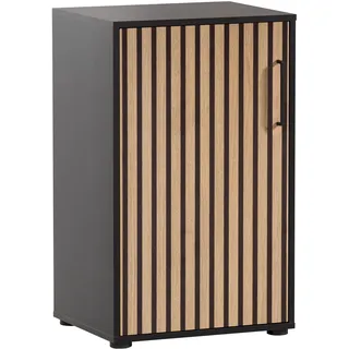 WELLTIME Hank Aktenschrank 51 x 41 x 83,6 cm schwarz