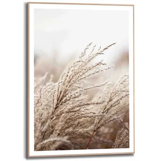 Kunstdruck REINDERS "Gras", beige (farbe bild(er): beige), B:50cm H:70cm T:1,6cm, MDF, Bilder, Kunstdruck