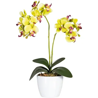 Creativ green Kunstpflanze "Phalaenopsis", grün