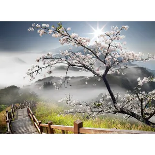 Papermoon "ORCHIDEEN-TAPETE NATUR LANDSCHAFT GEBIRGE BERGE BLUMEN", bunt,