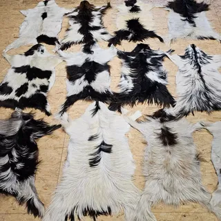 Ziegenfell Zickelfell kein Geruch | natürliche Farben | Fellteppich - 80cm-100cm lang 2.Wahl