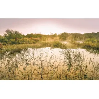 KOMAR Morning View II 400 x 250 cm