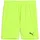 Puma teamGOAL Shorts green glare-puma black