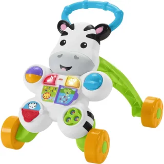 Fisher Price Mattel Fisher-Price Lern mit mir Zebra Lauflernwagen (DLD94)