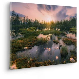 KOMAR »Gloomy Swamps - Größe 60 x 40 cm« - Bild, Leinwandbild Landschaftsmotiv, Wohnzimmer, Schlafzimmer