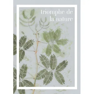 KOMAR Wandbild - Triomphe de la nature", - Größe: 50 x 70 cm - Poster, Kunstdruck, Dekoration, Wohnzimmer, Schlafzimmer