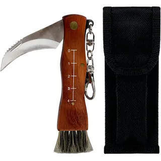 CHALVIOR Pilzmesser mit Bürste, Tragbares Schwammerlmesser mit Pilzbürste, Schwammerlmesser aus hochwertigen Edelstahl, Outdoor Taschenmesser Klappmesser Gute Wahl, für Pilzsammler