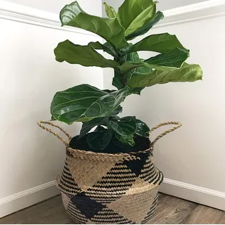 7WUNDERBAR Seegras Korb Blumentopf Stroh Blumenkorb Wäschekorb faltbar Aufbewahrungskorb groß mit Griff für Kinderzimmer Badezimmer (D#38CM*34CM)