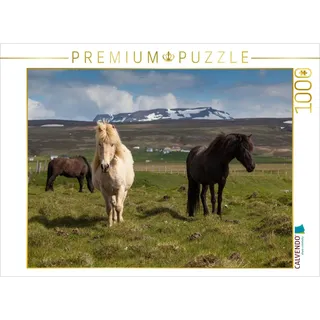 CALVENDO Puzzle Schwarz und Weiß | 1000 Teile Lege-Größe 64 x 48 cm Foto-Puzzle für glückliche Stunden