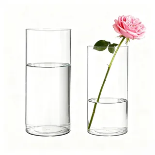 Koelaa 2 Teiliges Set Transparente Acryl-Blumenvasen, Bruchsichere Zylindervasen aus Kunststoff, Modernes Vasen-Set für Blumenarrangements, Tischdekoration, Einweihungsparty (10x20 & 12x25cm)