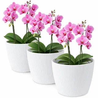 TULMERO Blumentopf matt, Pflanzkübel aus Übertopf Kunststoff Dekorativer Topf für, groß Pflanzen 3X blumenkübel Set, blumenkübel kräutertopf, (3 Pack) Weiß, ø 16 cm
