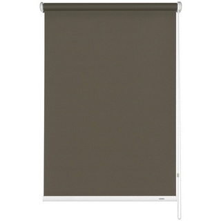 GARDINIA Seitenzugrollo Blackout mocca 82 x 180 cm