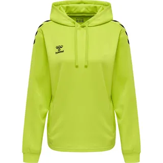 hummel Core XK Poly Hoodie Grün L