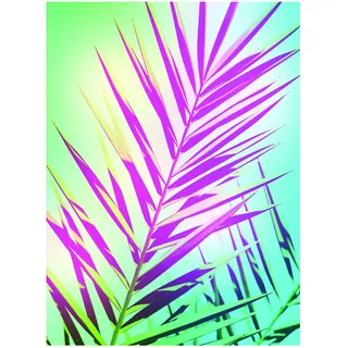 KOMAR Wandbild Shine 30 x 40 cm