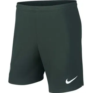 Nike Herren Sport Shorts Vflw Nk BRT Stad Short HA, Pro Green/(White) (No Sponsor), M, AJ5721