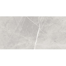 Bild von Bodenfliese Feinsteinzeug Ciana 30 x 60 cm grey
