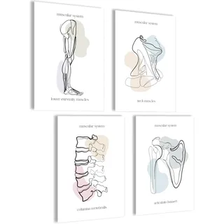 mojoliving Skelett Anatomie Poster Set Anatomie Modell Bilder Schlafzimmer Anatomie Skelett Deko Aesthetic Bilder Vintage Anatomie Poster Skelett Aesthetic Room Decor Fitness Poster