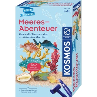 KOSMOS 658038 Meeres-Abenteuer, Grabe die Tiere aus dem versteinerten Meer frei. Mit Muschel-Kettenanhänger, Experimentierset für Kinder ab 7-10 Jahre, Deko, Schmuck, Mitbringsel, kleines Geschenk